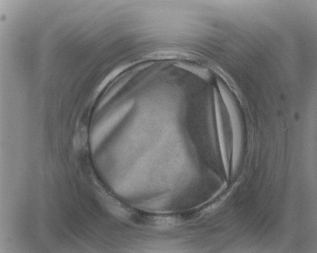 X0000084001465200703021953