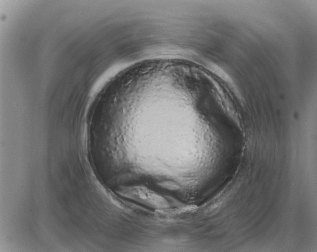 X0000084001472200703021952