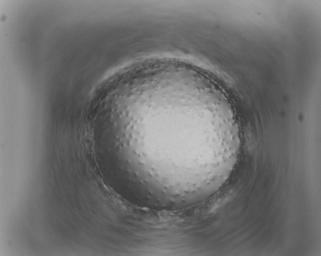X0000084001494200703021951