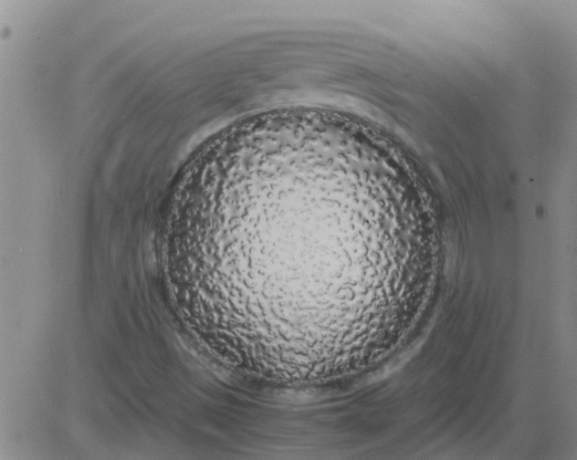 X0000084001497200703021951