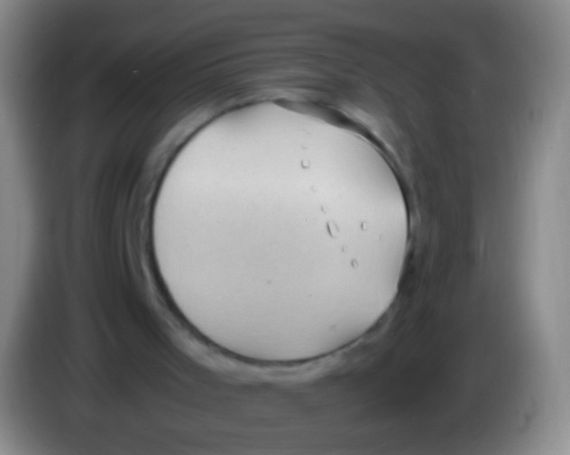 X0000084000001200703091915