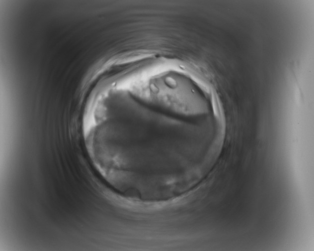 X0000084000002200703091915