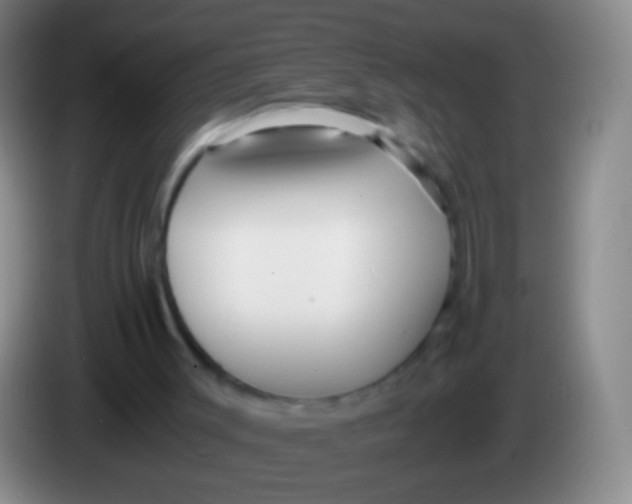 X0000084000003200703091915