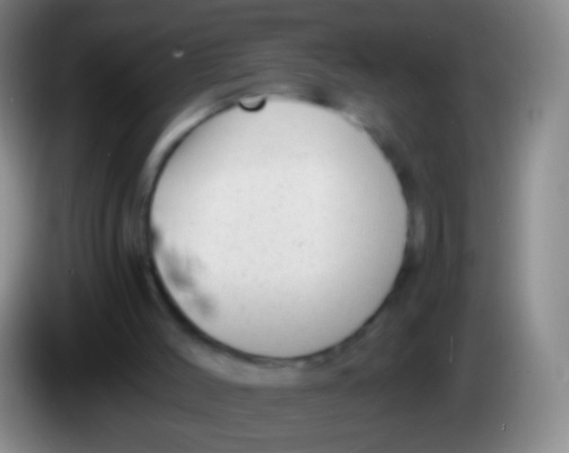 X0000084000004200703091915
