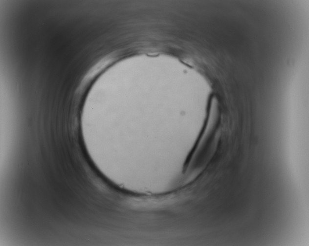 X0000084000005200703091915