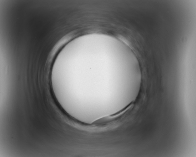 X0000084000007200703091915
