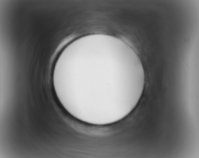 X0000084000008200703091915