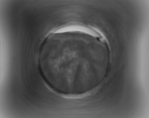 X0000084000009200703091915