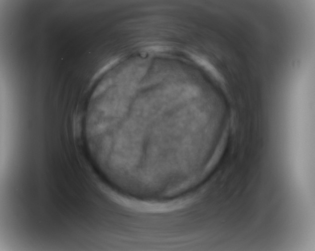 X0000084000010200703091915