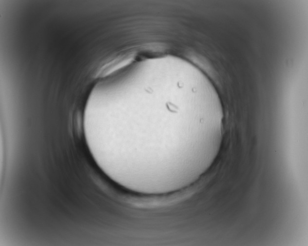 X0000084000013200703091915