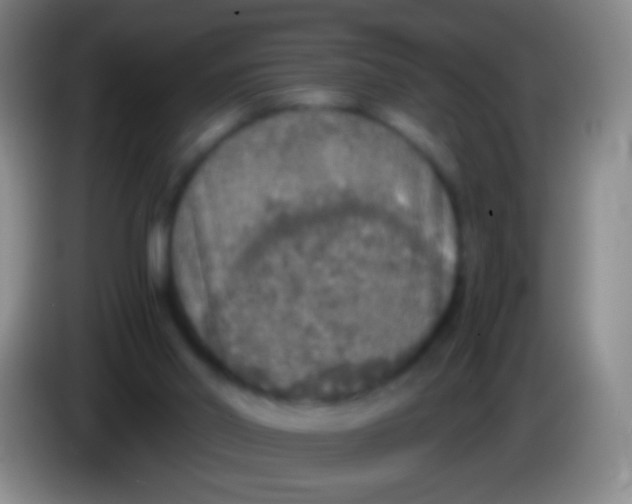 X0000084000014200703091915