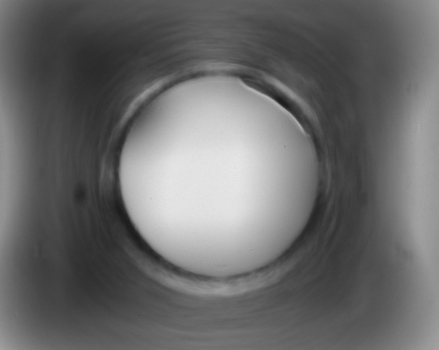 X0000084000015200703091915