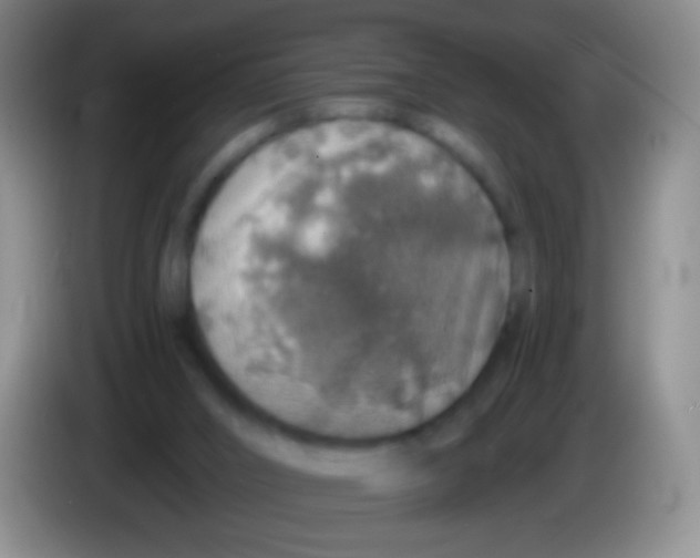 X0000084000016200703091915