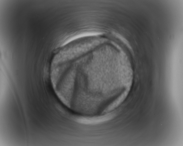 X0000084000017200703091915