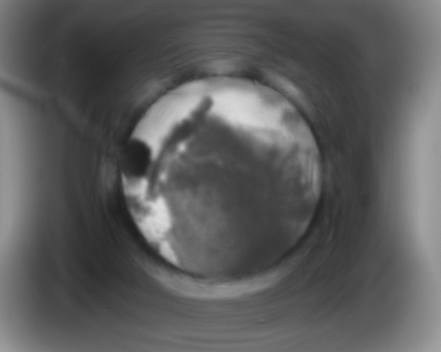 X0000084000018200703091915