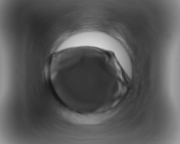 X0000084000019200703091915
