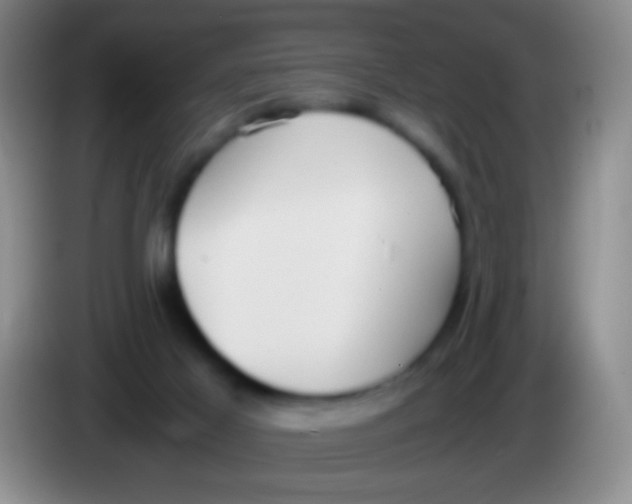 X0000084000021200703091915