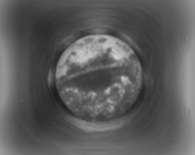 X0000084000026200703091915
