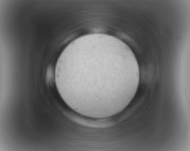 X0000084000028200703091915