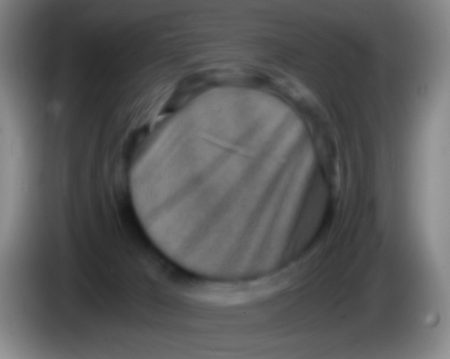 X0000084000029200703091915