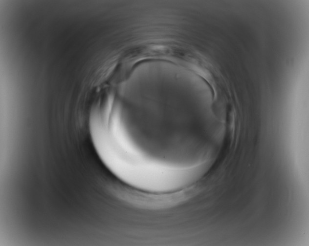 X0000084000031200703091915