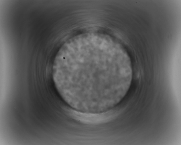 X0000084000034200703091915