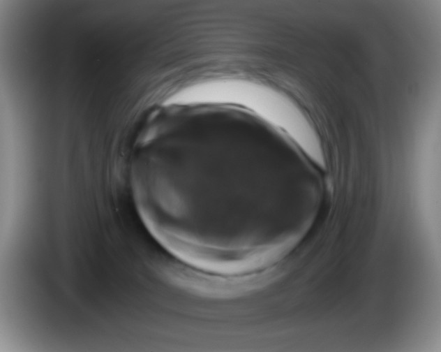 X0000084000035200703091915
