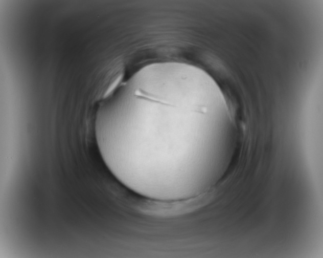 X0000084000037200703091915