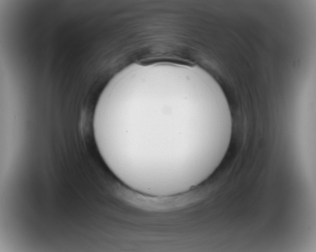 X0000084000038200703091915
