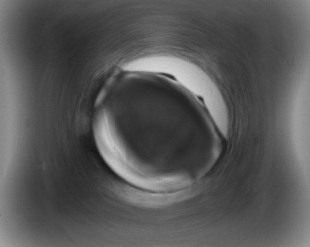 X0000084000039200703091915