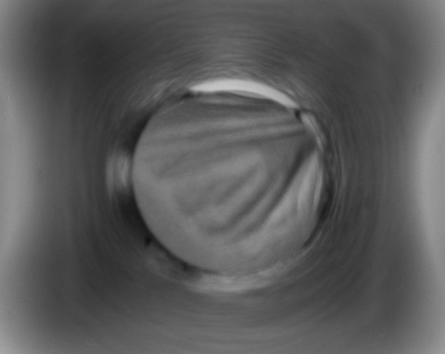X0000084000041200703091915