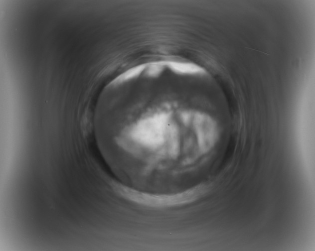 X0000084000043200703091915