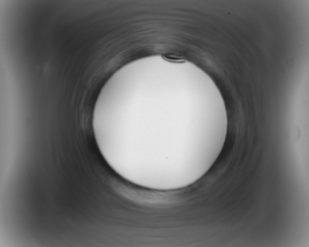 X0000084000044200703091915
