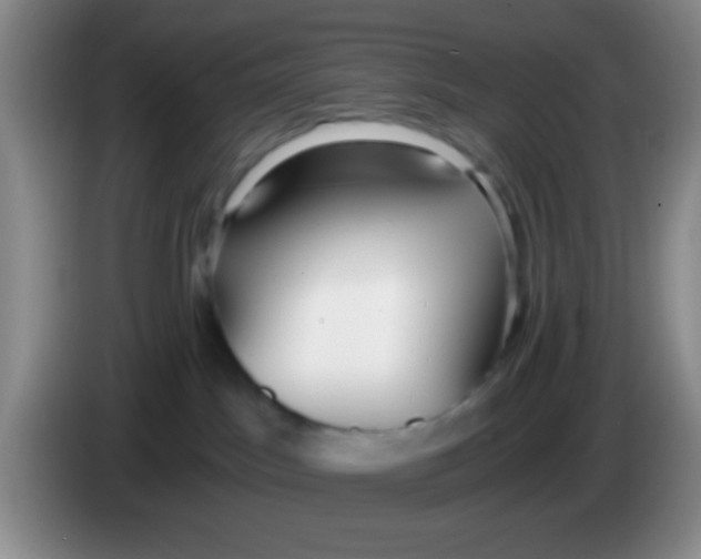 X0000084000045200703091915