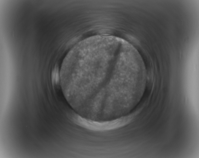 X0000084000046200703091915
