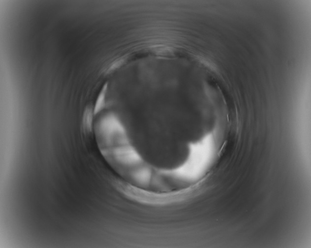 X0000084000047200703091915
