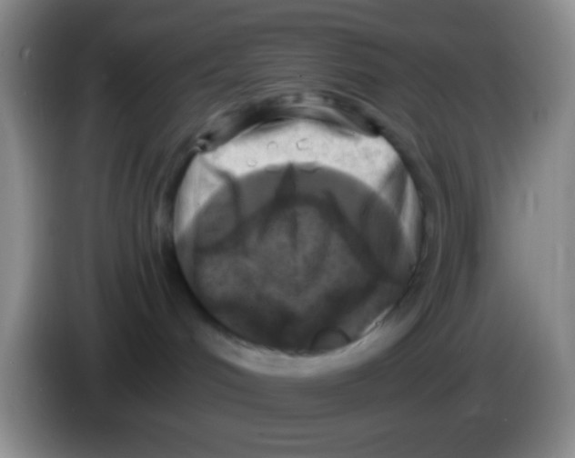 X0000084000048200703091915