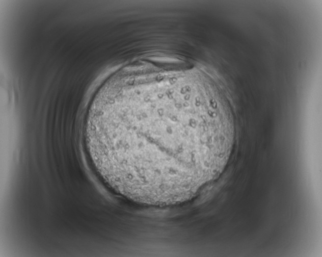 X0000084000049200703091914