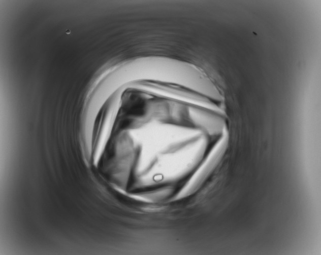 X0000084000051200703091914