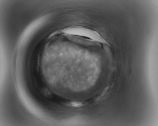 X0000084000052200703091914
