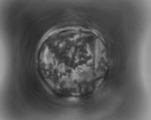 X0000084000053200703091914