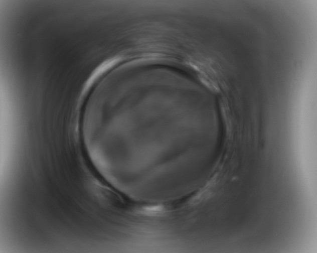 X0000084000054200703091914