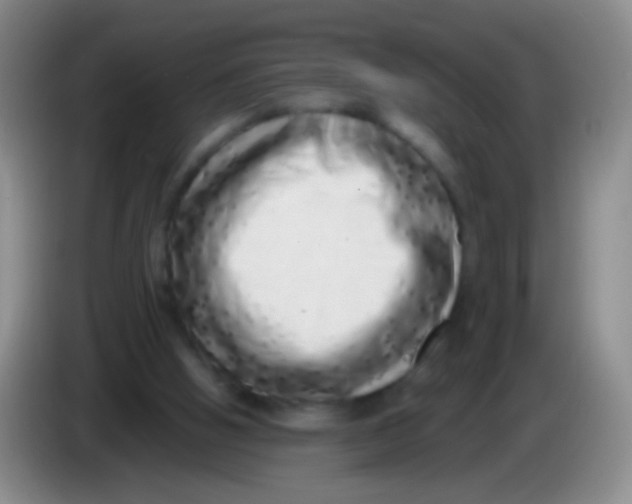 X0000084000058200703091914