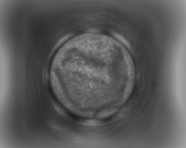X0000084000059200703091914