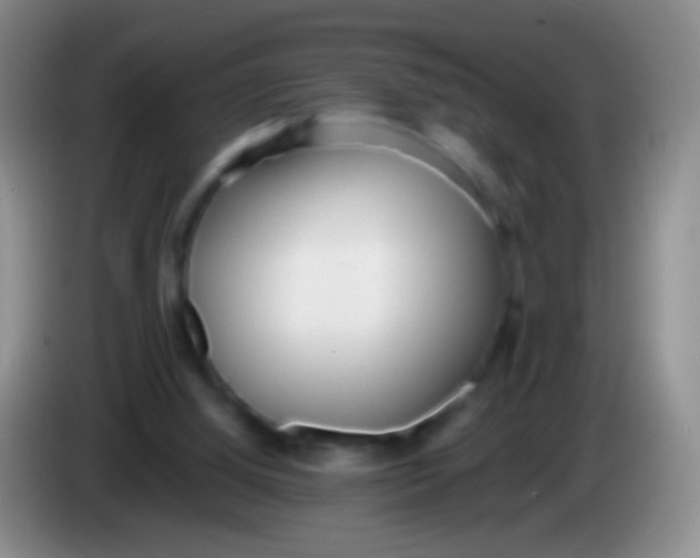X0000084000060200703091914