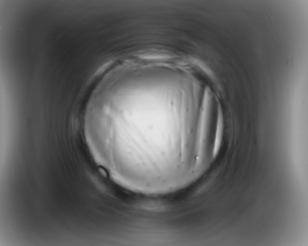 X0000084000063200703091914