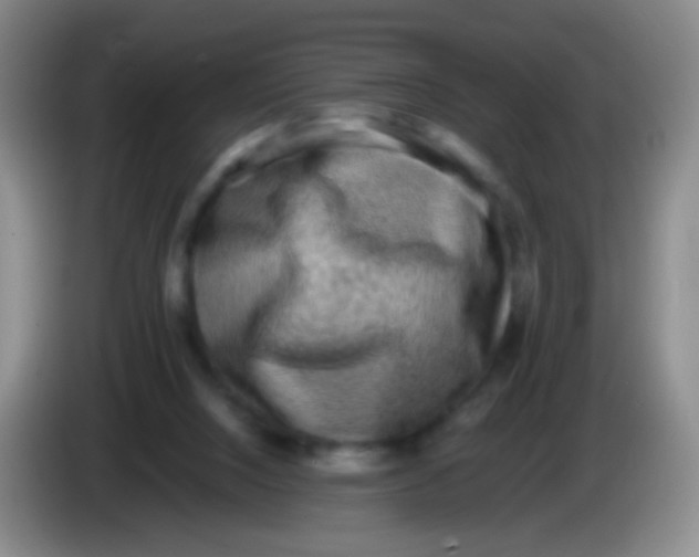 X0000084000064200703091914