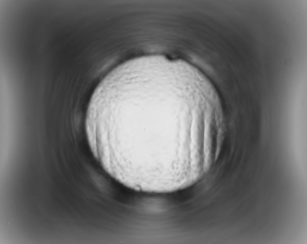 X0000084000066200703091914