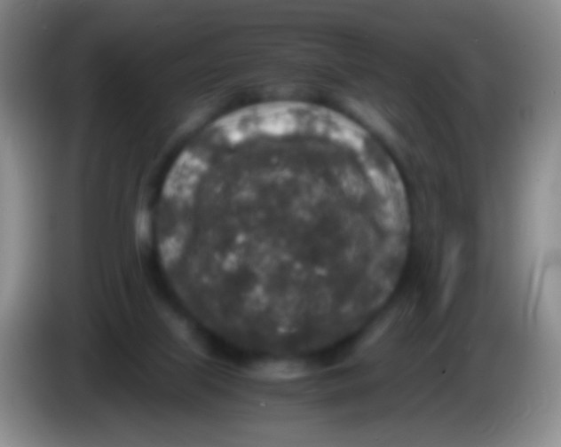 X0000084000067200703091914