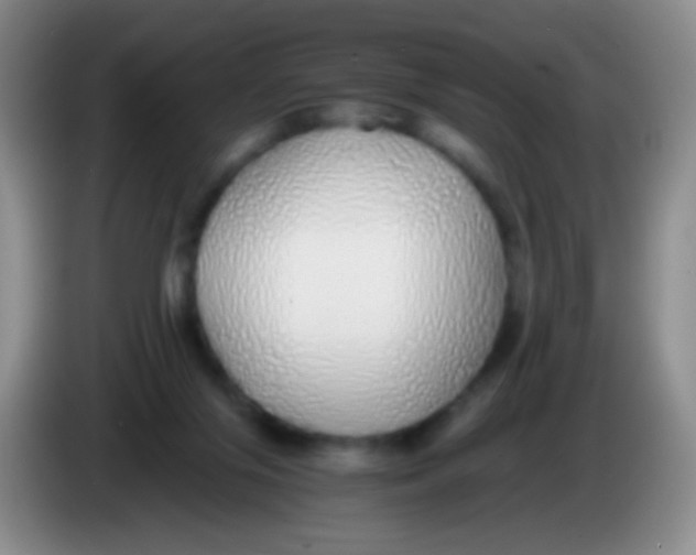 X0000084000071200703091914